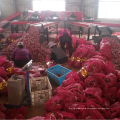 China red onion new season supply, fresh onion 50-70 export 2021